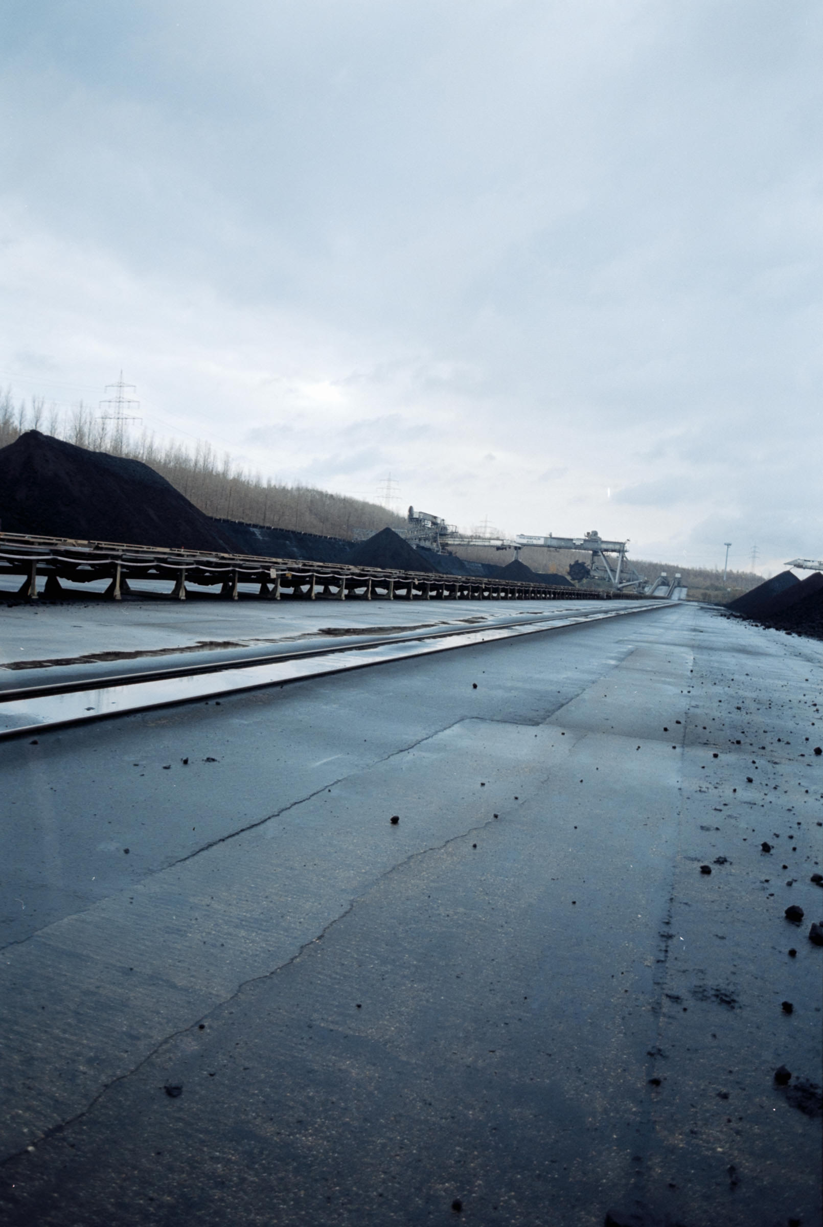 AHP film 2004 11 001 sc240828 img25 NLP